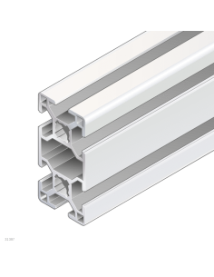 3842512603 PERFIL SOPORTE 30X60 10X5600MM