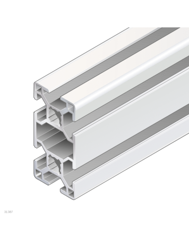 ✅ 3842557205 | PERFIL SOPORTE 30X60 10X6070MM | Bosch Rexroth