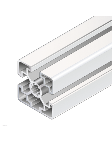 ✅ 3842557225 | PERFIL SOPORTE 45X45L 3N 20X6070MM | Bosch Rexroth