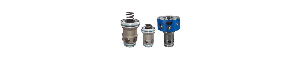 Cartridge valves