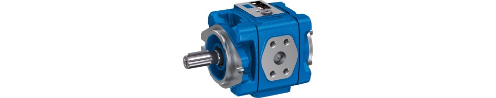 Internal gear pumps