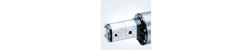 Electro-hydraulic pumps