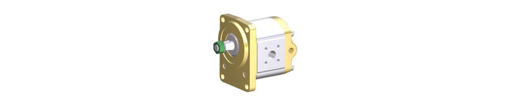 External gear motors