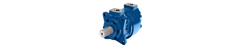 Vane motors