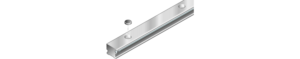 Cam roller guide rails