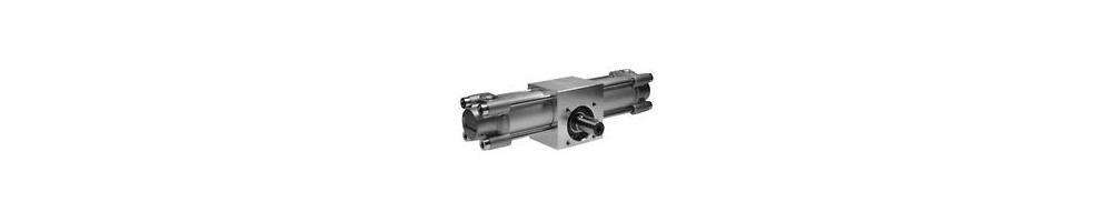 Rotary Actuators - TRR